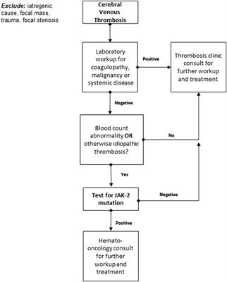 Janus Kinase-2 V617F Mutation and Antiphospholipid Syndrome in Cerebral Sinus Venous Thrombosis: Natural History and Retrospective Bicenter Analysis